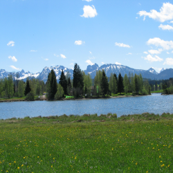 Neuschwanstein  Picture 053.jpg